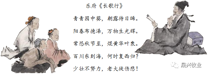 美高梅4688集团am(中国)股份有限公司