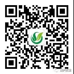 美高梅4688集团am(中国)股份有限公司