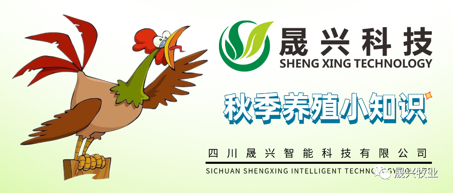 美高梅4688集团am(中国)股份有限公司