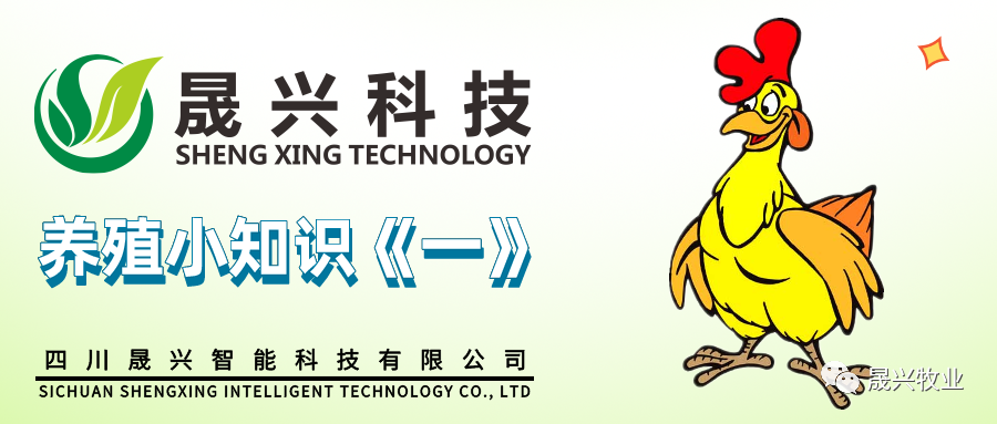 美高梅4688集团am(中国)股份有限公司