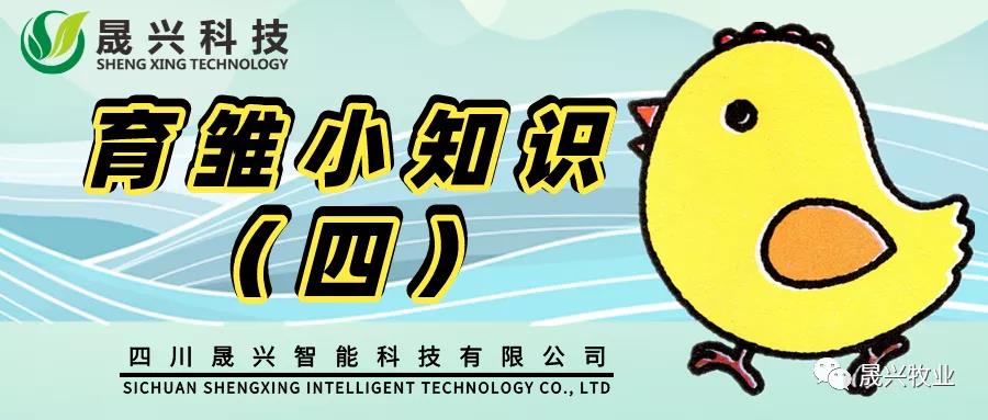 美高梅4688集团am集团