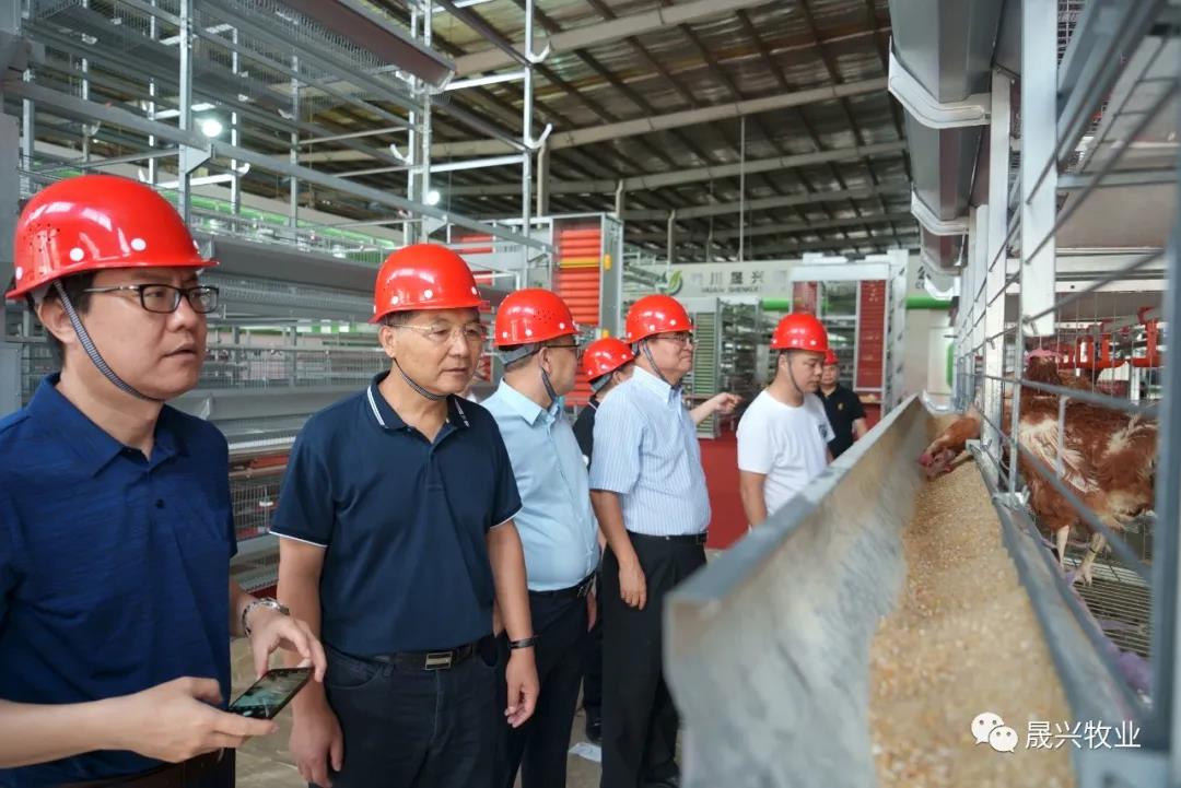 美高梅4688集团am(中国)股份有限公司