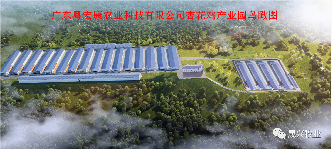 美高梅4688集团am集团