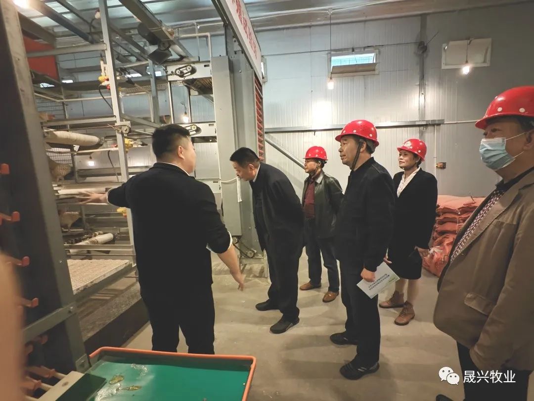 美高梅4688集团am(中国)股份有限公司