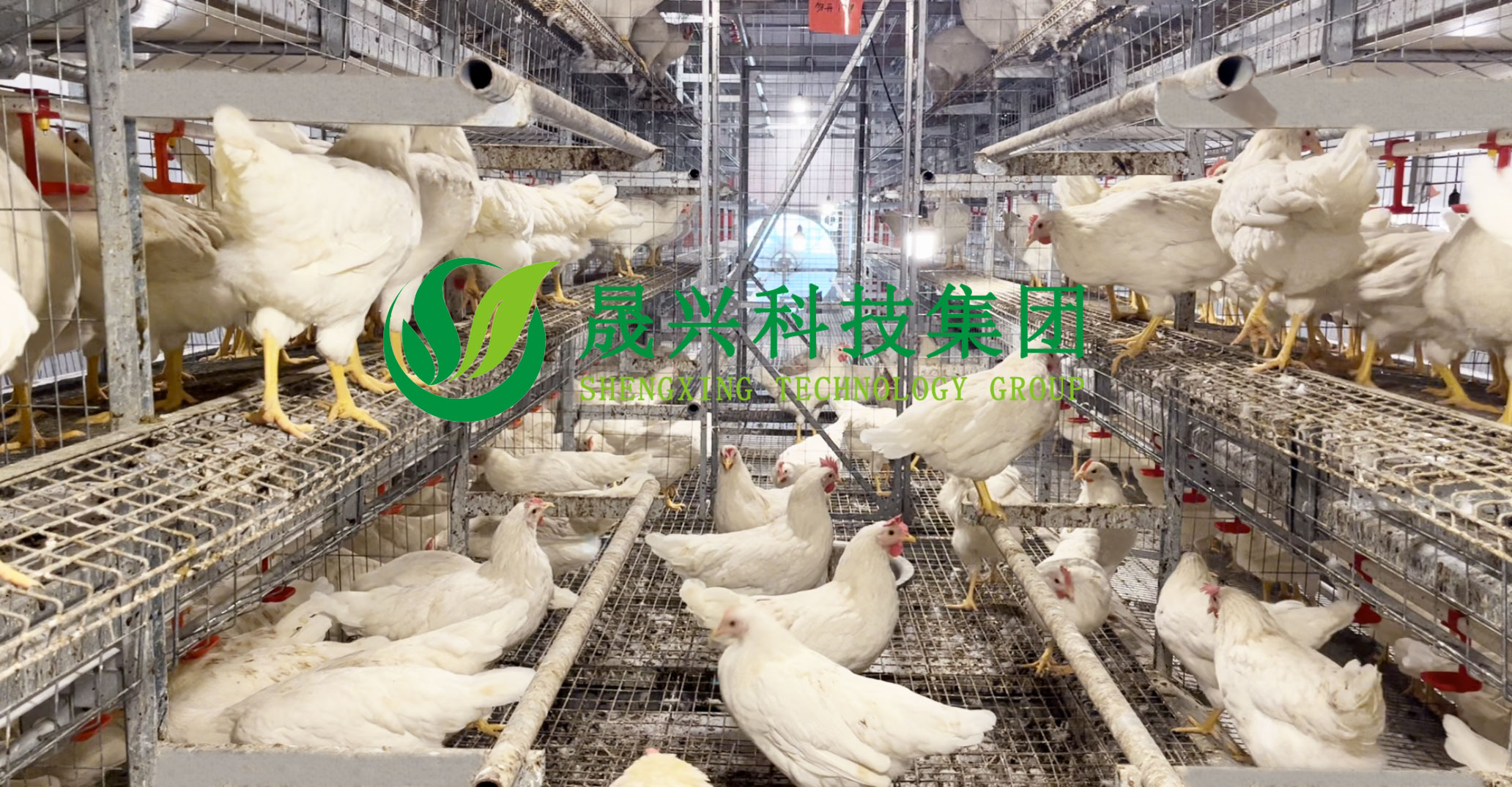 美高梅4688集团am(中国)股份有限公司