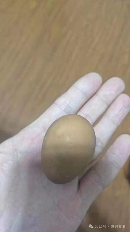 美高梅4688集团am(中国)股份有限公司