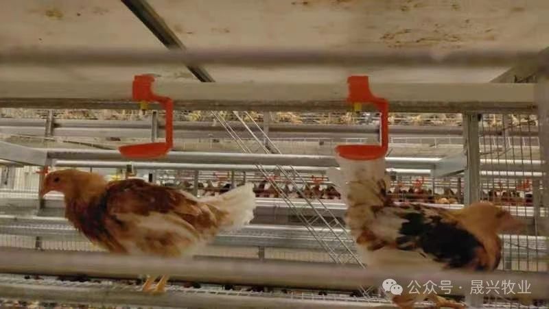 美高梅4688集团am(中国)股份有限公司