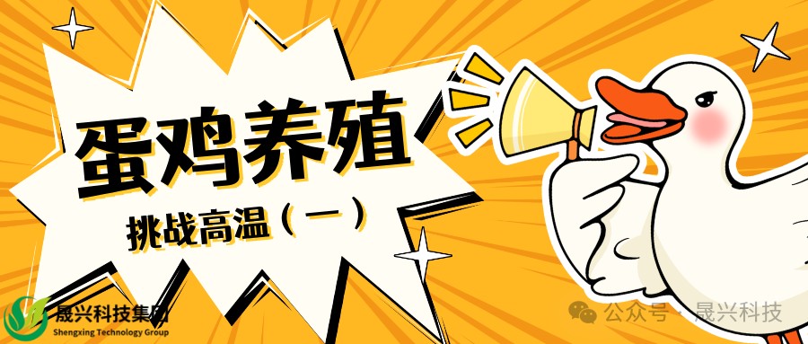 美高梅4688集团am(中国)股份有限公司