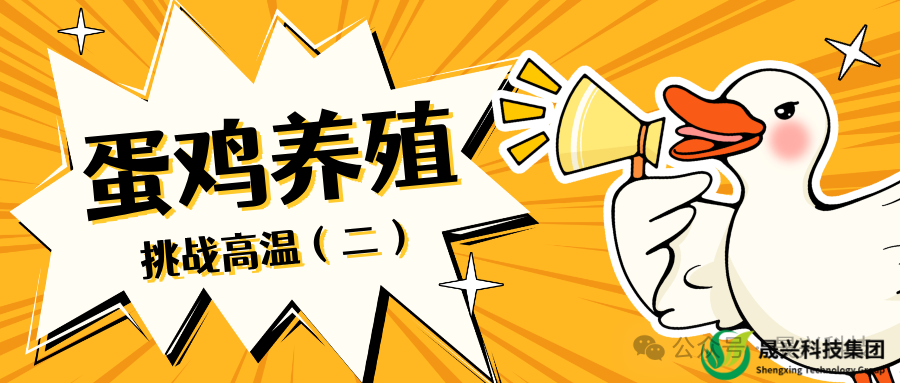 美高梅4688集团am(中国)股份有限公司